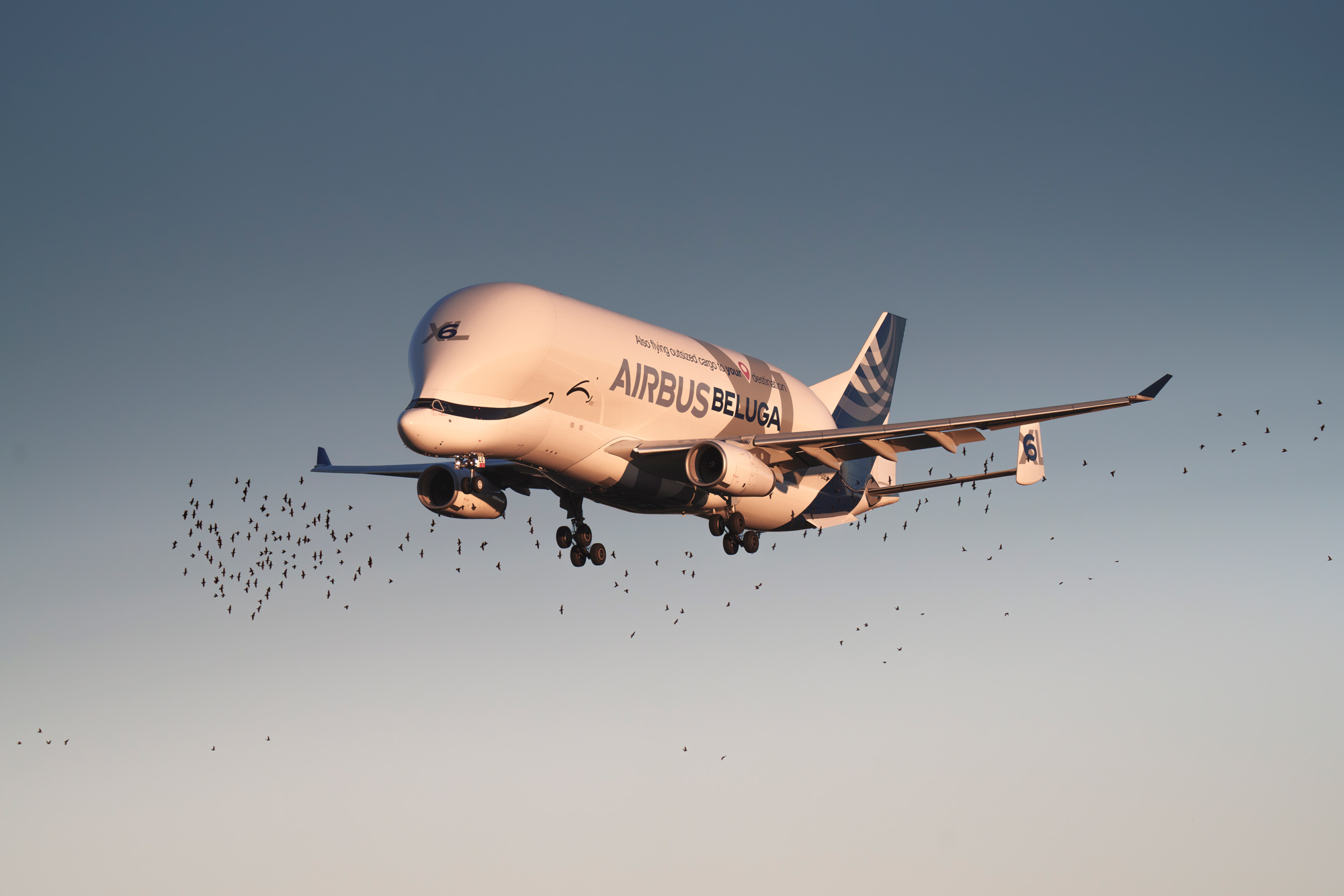 Airplane photographed in the sky over Toulouse